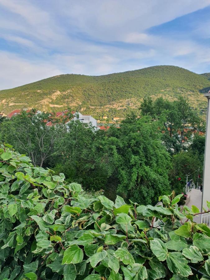 Apartment Rita Mokošica 外观 照片